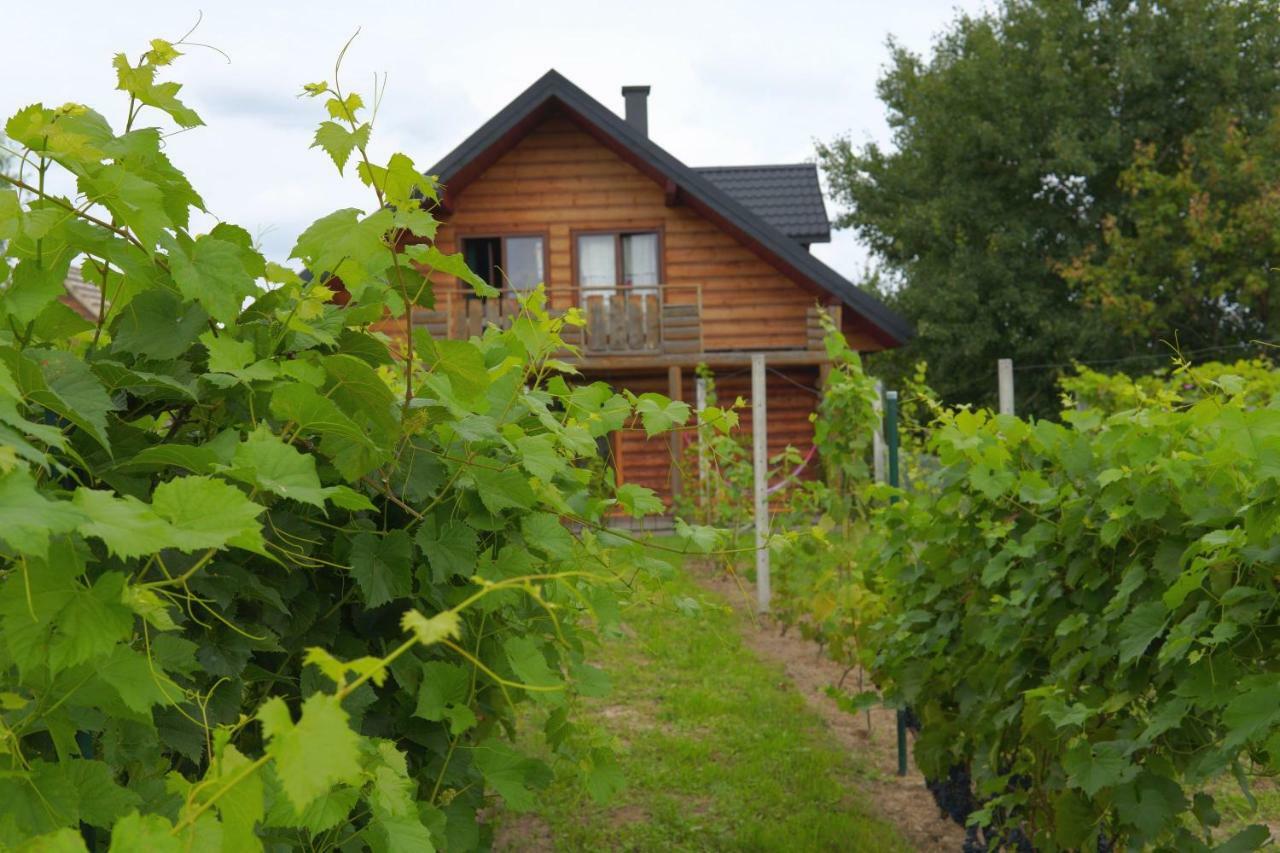 Dom Pachnacy Zywica Villa Bochnia Exteriör bild