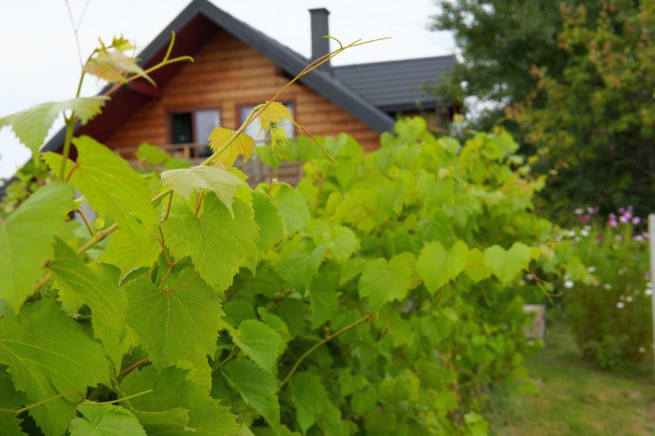 Dom Pachnacy Zywica Villa Bochnia Exteriör bild