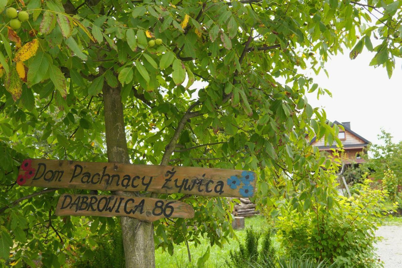 Dom Pachnacy Zywica Villa Bochnia Exteriör bild